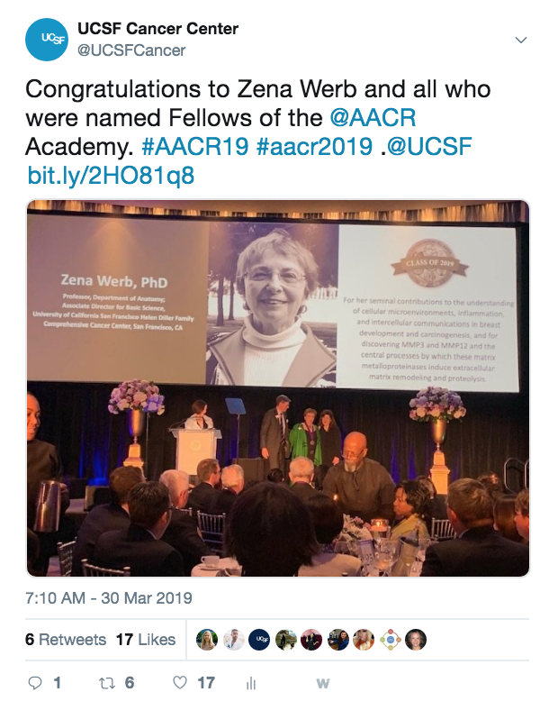Zena Werb elected as Fellow AACR Academy