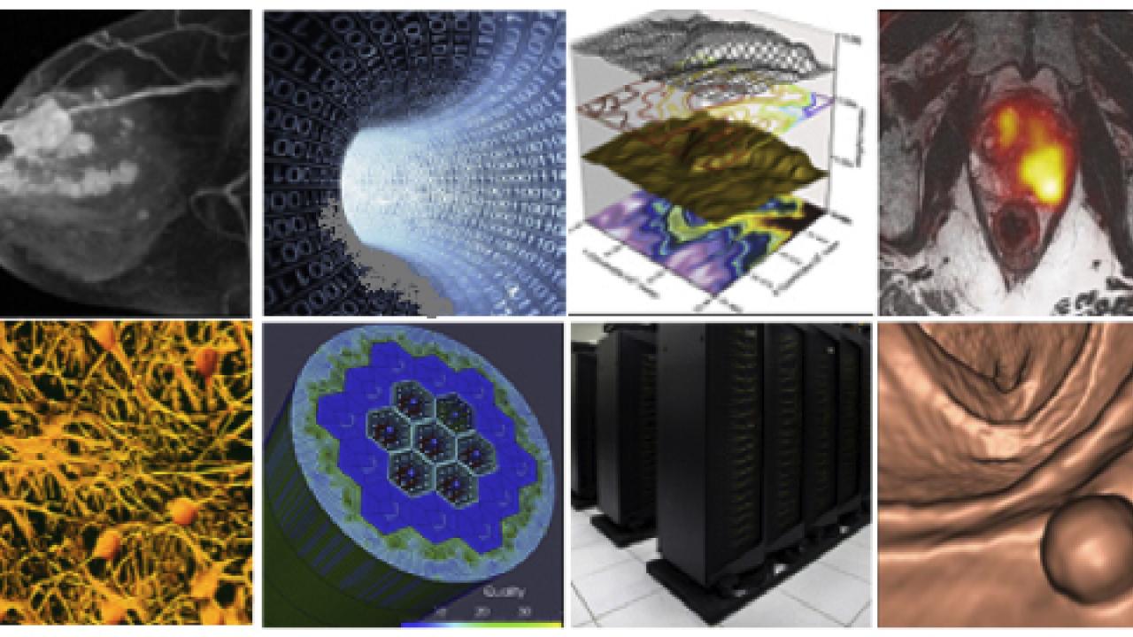 Samples of images from the UCSF Cancer Imaging Research Core