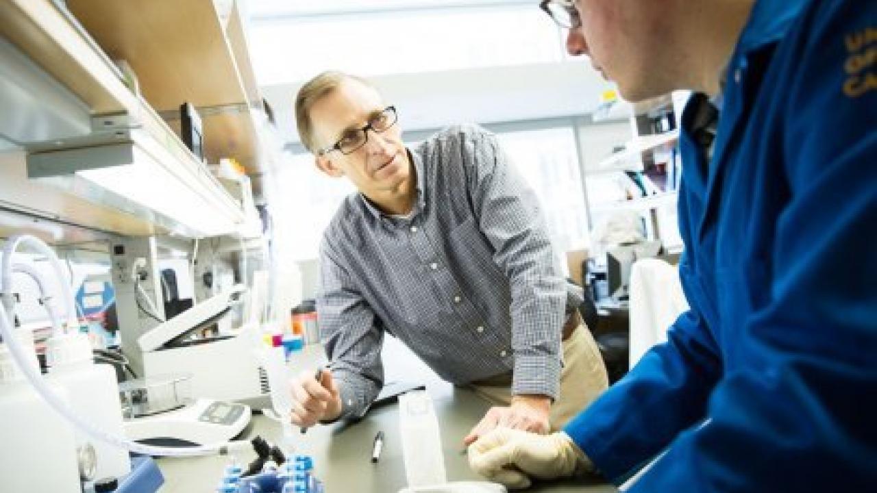 John Witte, PhD, in his lab with graduate student Clint Cario. Photo by Elisabeth Fall
