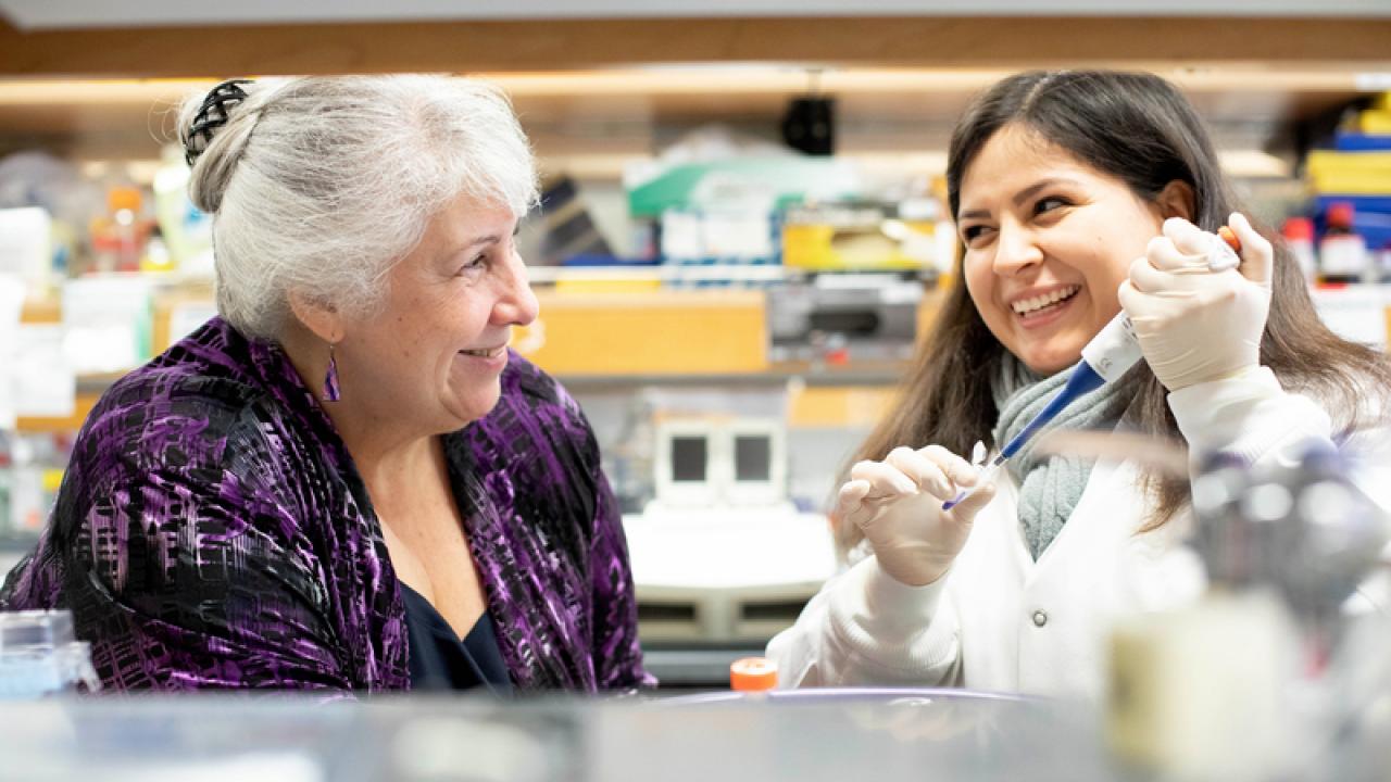 Thea Tlsty, PhD, winner of the "Grand Challenge" competition, will receive $26 million to lead her international team to uncover how chronic inflammation causes cancer.
