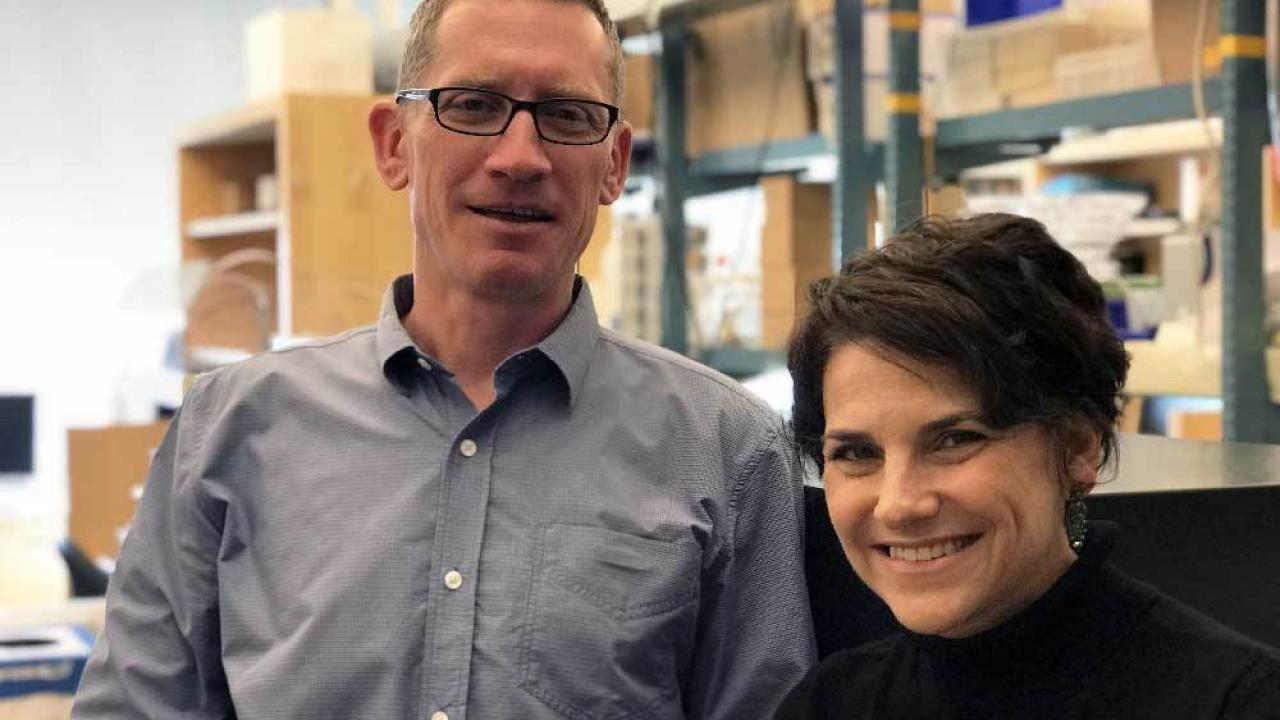Adam Renslo and Michelle Arkin co-lead the Small Molecule Discovery Core at the UCSF Helen Diller Family Comprehensive Cancer Center.