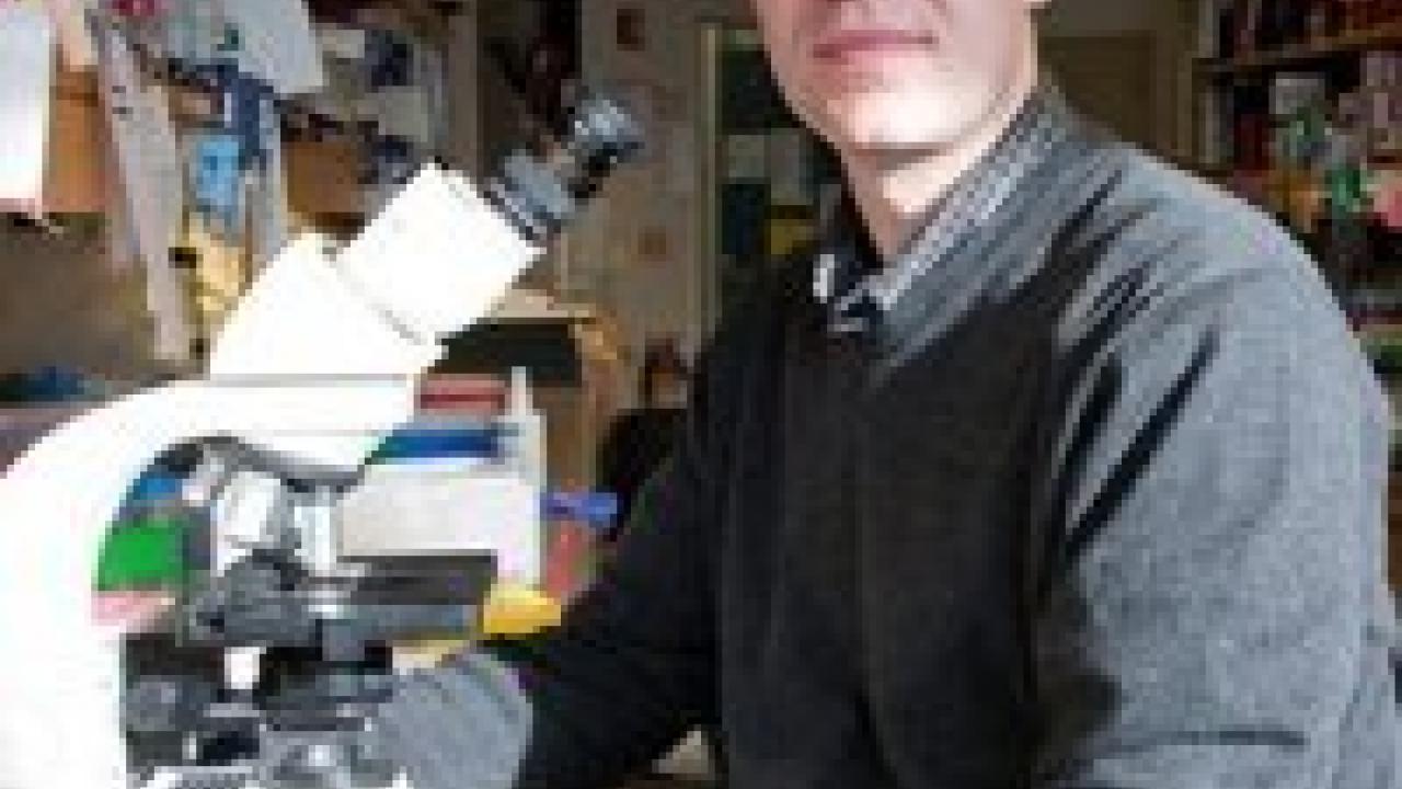 Matthias Hebrok, PhD