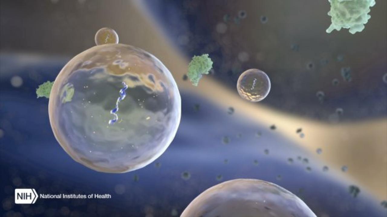Extracellular RNAs, or ExRNAs, travel in body fluids including fluid surrounding the brain and spinal cord, urine and blood. Image credit: NIH Common Fund