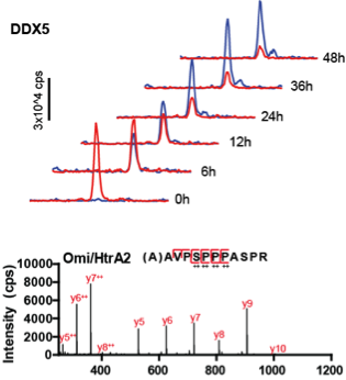 Omics Capabilities