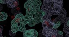  Bakar Computational Biomedicine Initiative