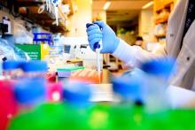 A researcher wearing blue gloves uses a pipette to transfer liquid into a laboratory sample plate in a UCSF research lab.