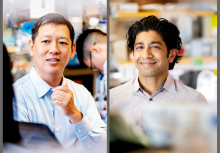 Felix Feng, MD, will serve as the executive director, and Rohit Bose, MD, PhD, will serve on the Executive Committee of the newly announced Benioff Initiative for Prostate Cancer Research at UCSF.