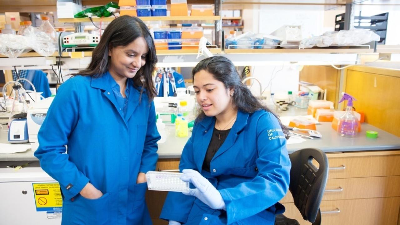 Rushika Perera (left), PhD, works in her lab with Biomedical Sciences graduate student Andrea Eastes. Perera received NIH funding in 2016 for her work to track the changes in protein composition in a tumor cell as it evolves. Photo by Susan Merrell