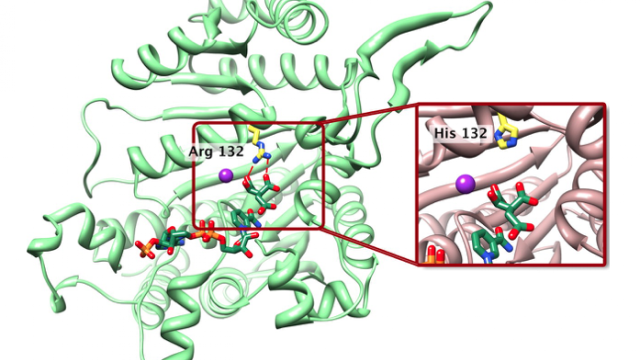 New Clinical Trial Targets Mutations Commonly Found In Lower Grade ...