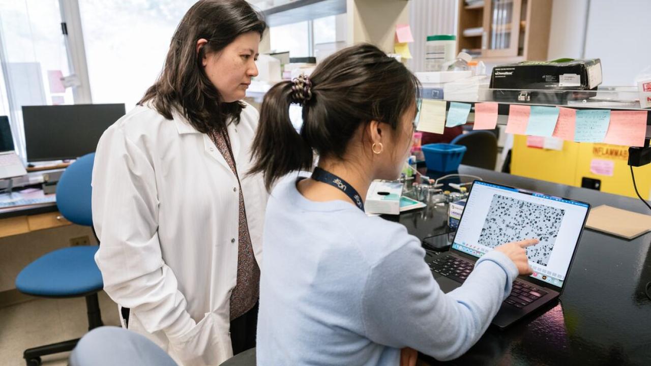 Jennifer Rosenbluth, MD, PhD, and Tam Binh Bui, MSc, MD, look at data on a laptop while working together in the Rosenbluth Lab at UCSF’s Parnassus Heights Campus.