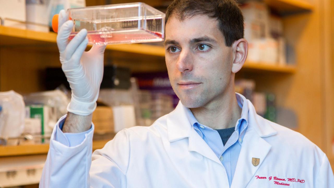 Trever Bivona, MD, PhD, associate professor in Hematology and Oncology, works on the mechanisms of resistance to targeted therapy in lung cancer. © Susan Merrell, 2015