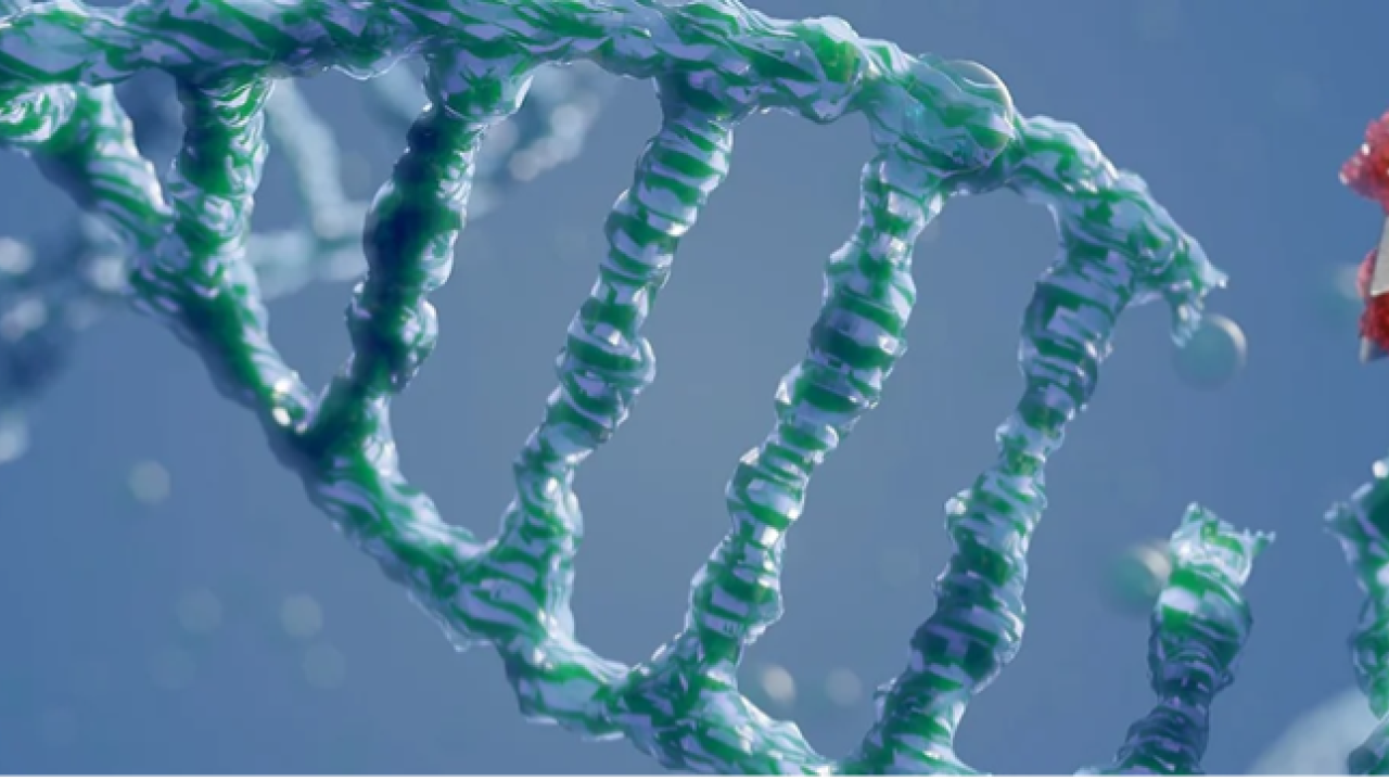 CRISPR