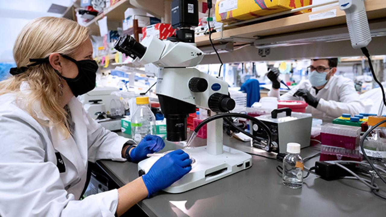 researchers working in a lab