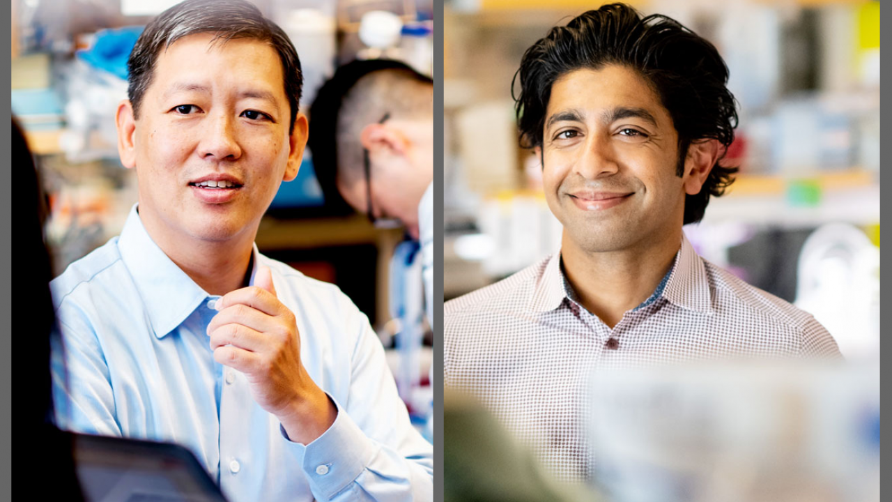 Felix Feng, MD, will serve as the executive director, and Rohit Bose, MD, PhD, will serve on the Executive Committee of the newly announced Benioff Initiative for Prostate Cancer Research at UCSF.