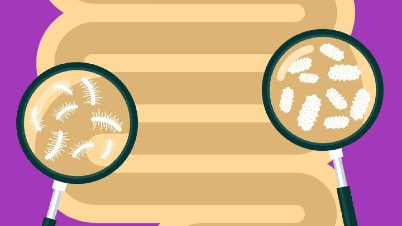 Gut Microbiomes