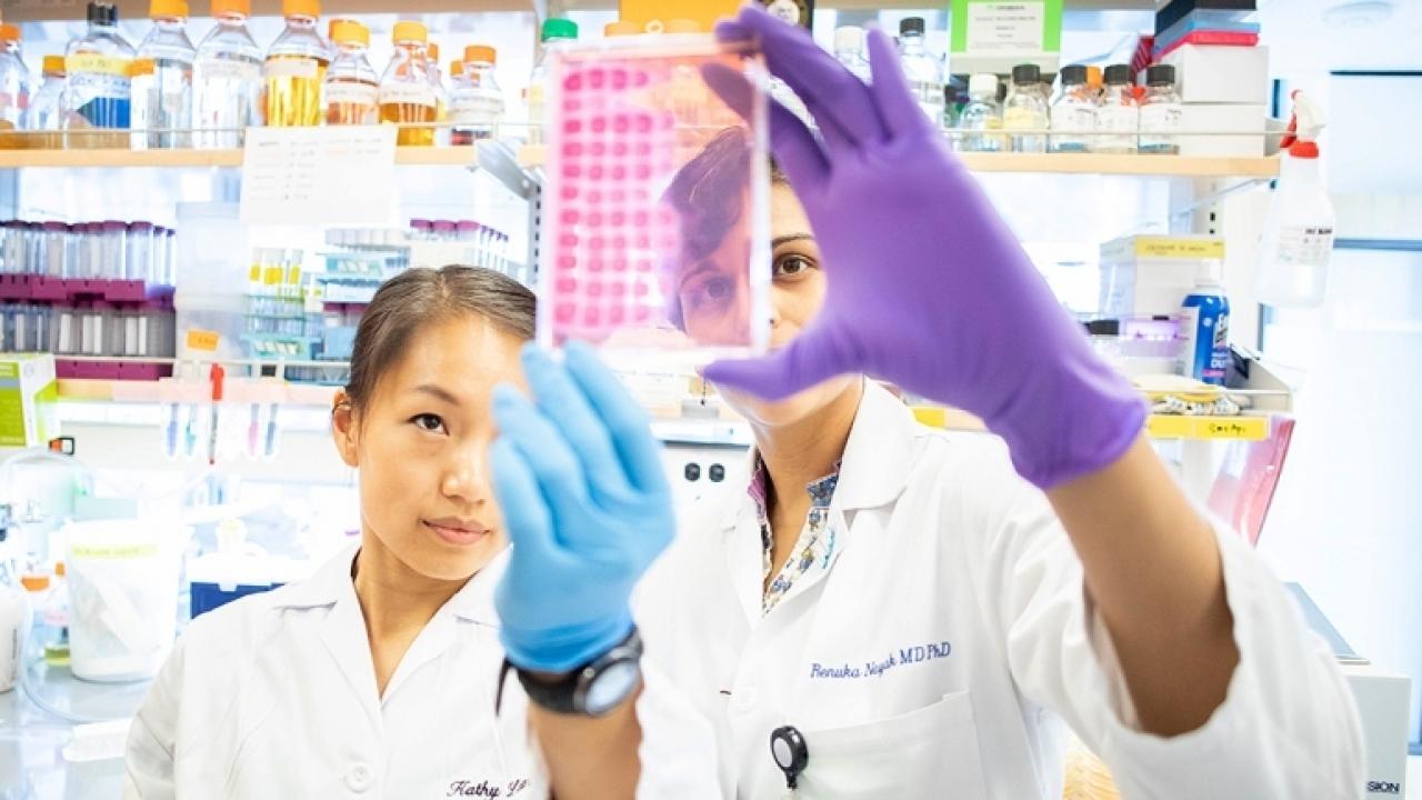Kathy Lam (left) a postdoctoral fellow in the department of Microbiology & Immunology, works with Renuka Nayak, MD, PhD, assistant adjunct professor in Rheumatology. The new Bakar ImmunoX Initiative aims to break down the barriers that traditionally separate immunology research by disease area. Photo by Susan Merrell