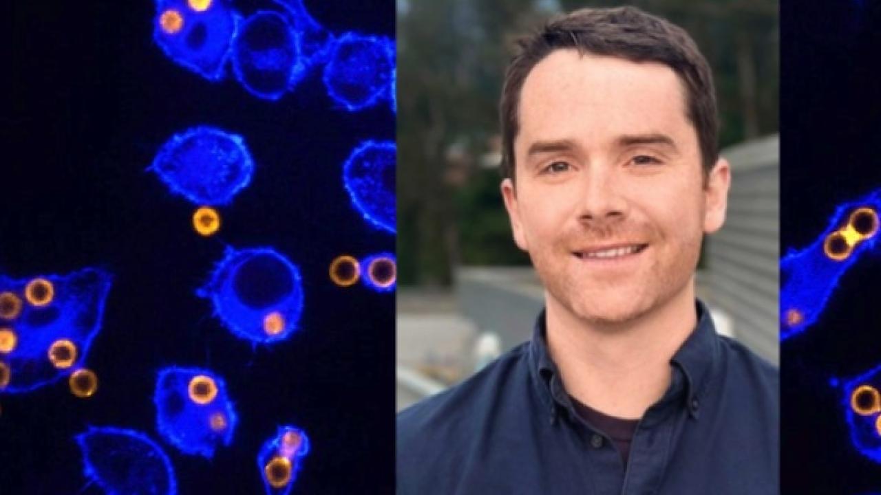 Roarke Kamber, MD, PhD
