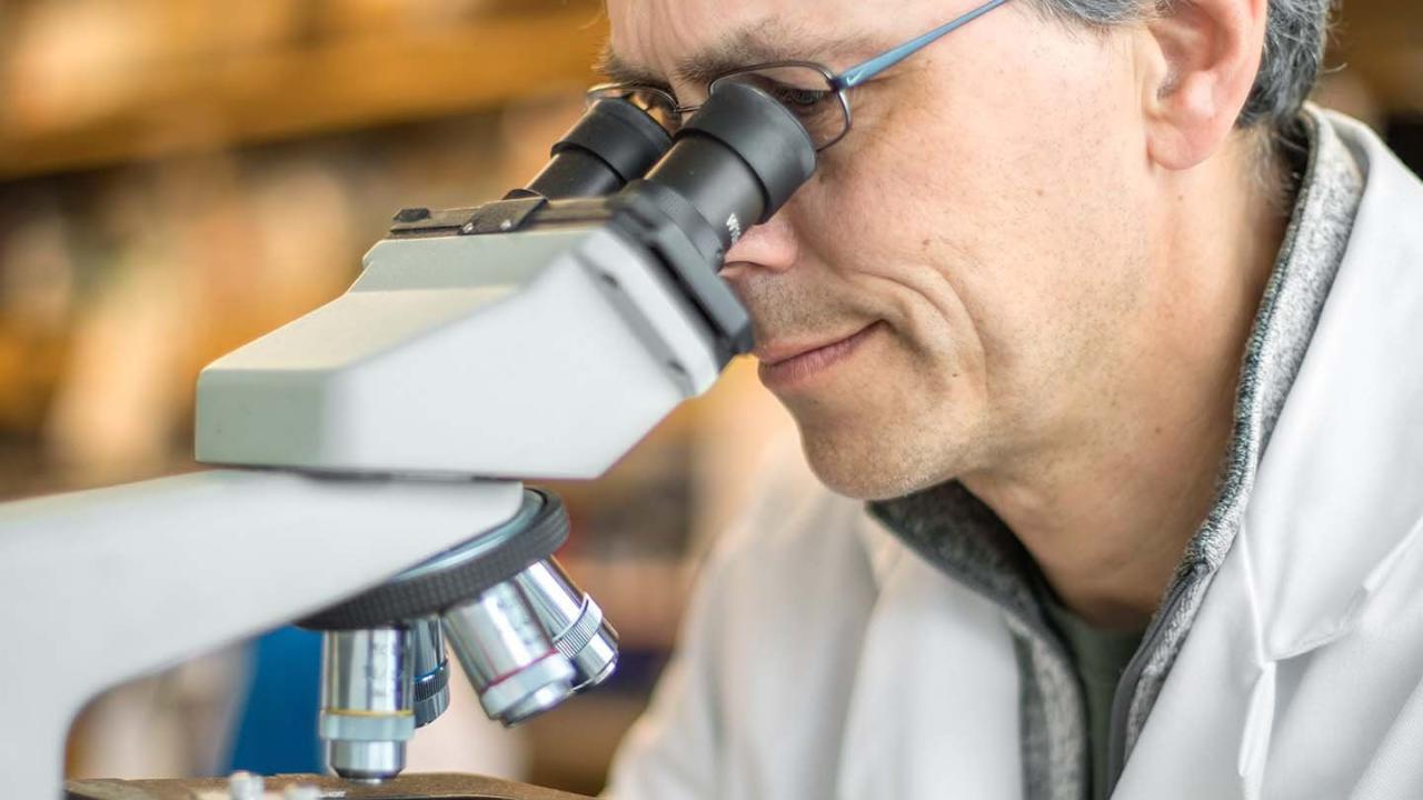 Mark Anderson looking into a microscope.