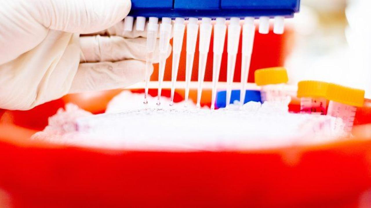 UCSF Research