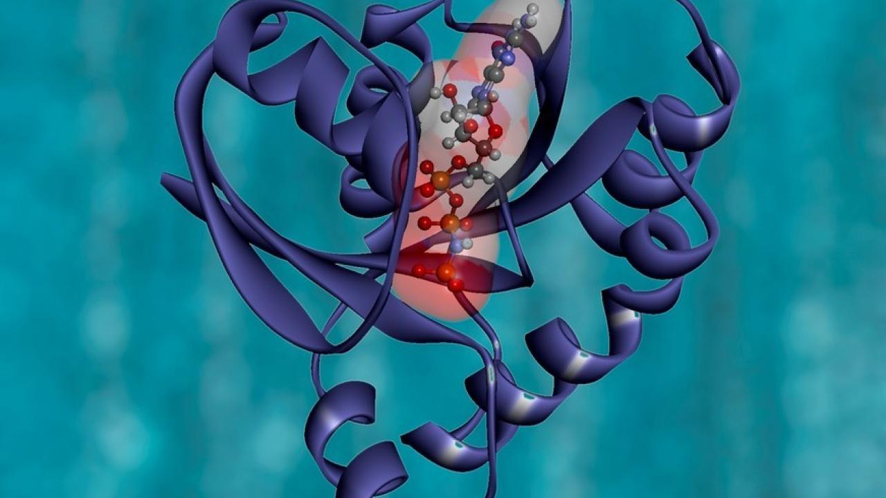 KRAS Protein Structure.  Image courtesy the National Cancer Institute.