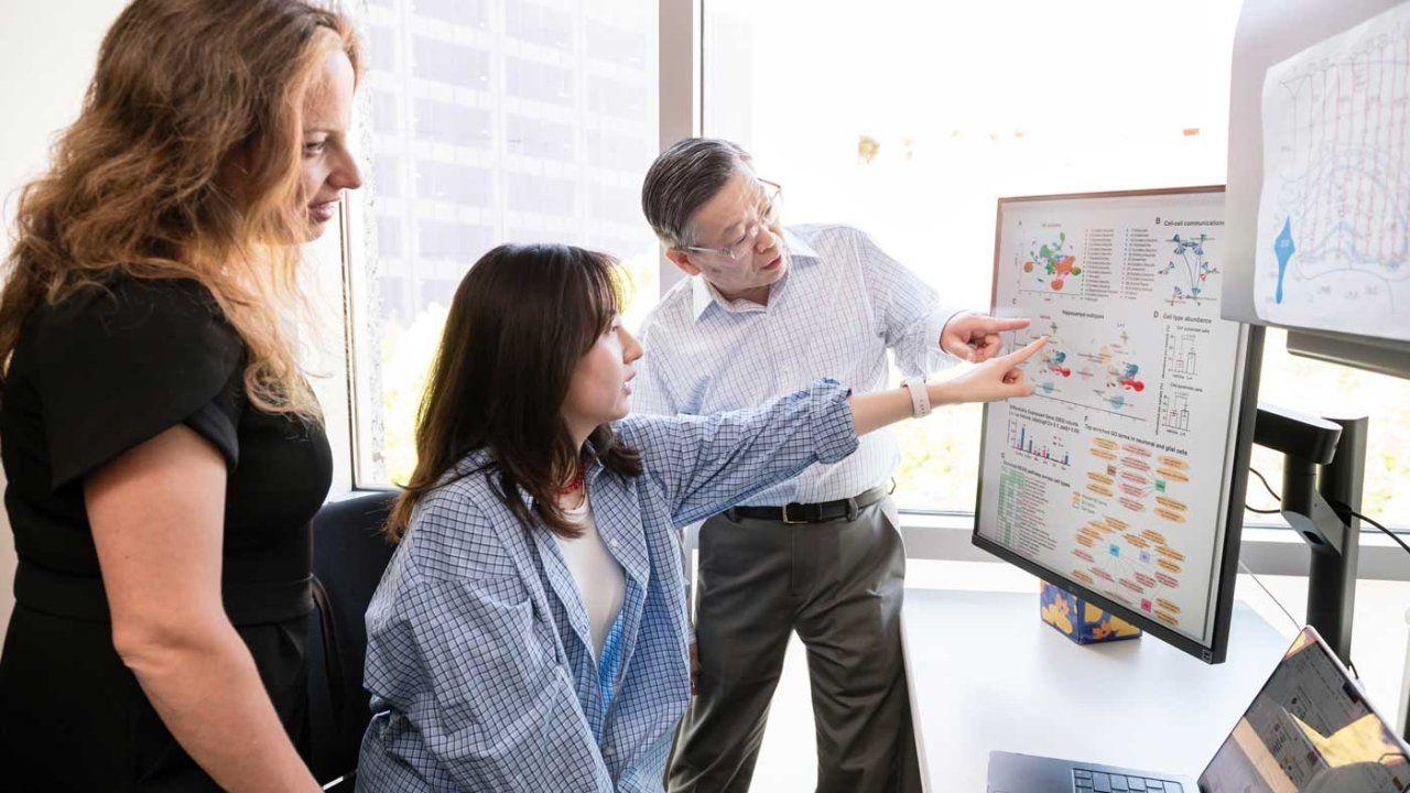 A UCSF and Gladstone Institutes team discovered a pair of cancer drugs that successfully treated a model of severe Alzheimer’s disease. From left: Marina Sirota, PhD; Yaqiao Li, PhD; and Yadong Huang, MD, PhD. Photo by Michael Short/Gladstone Institutes A UCSF and Gladstone Institutes team discovered a pair of cancer drugs that successfully treated a model of severe Alzheimer’s disease. From left: Marina Sirota, PhD; Yaqiao Li, PhD; and Yadong Huang, MD, PhD. Photo by Michael Short/Gladstone Institutes