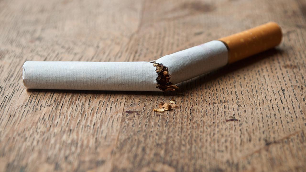 Cigarette broken in half