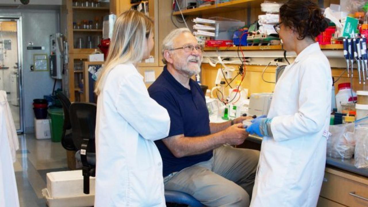 Peter Walter discusses features of the chloroplast unfolded protein response with visiting postdoc Pelin Telkoparan (left) and postdoc Silvia Ramundo (right), who works in the Walter Lab. Photo by Susan Merrell