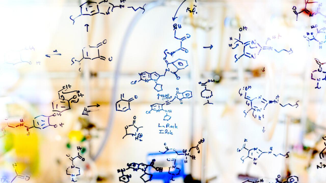 Sketches cover a hood shield in UCSF chemist Kevan Shokat’s lab. Photo by Noah Berger Sketches cover a hood shield in UCSF chemist Kevan Shokat’s lab
