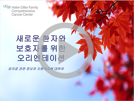 Orientation - Korean