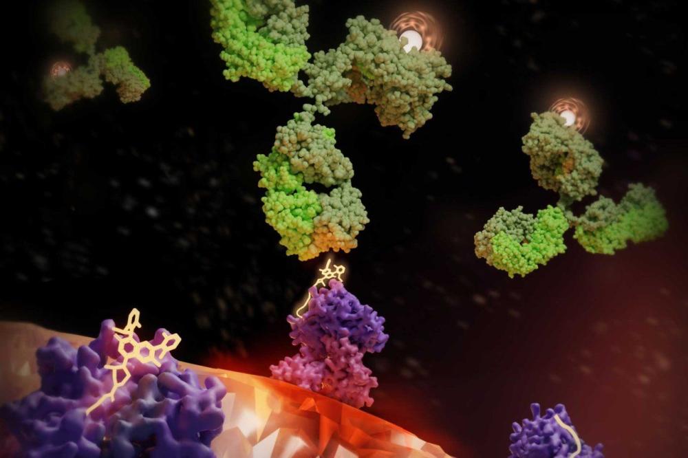  3D rendering showing immune proteins delivering K R A S, and others a radioactive antibody, to a tumor cell." class="element-fade element-fade--in-viewport