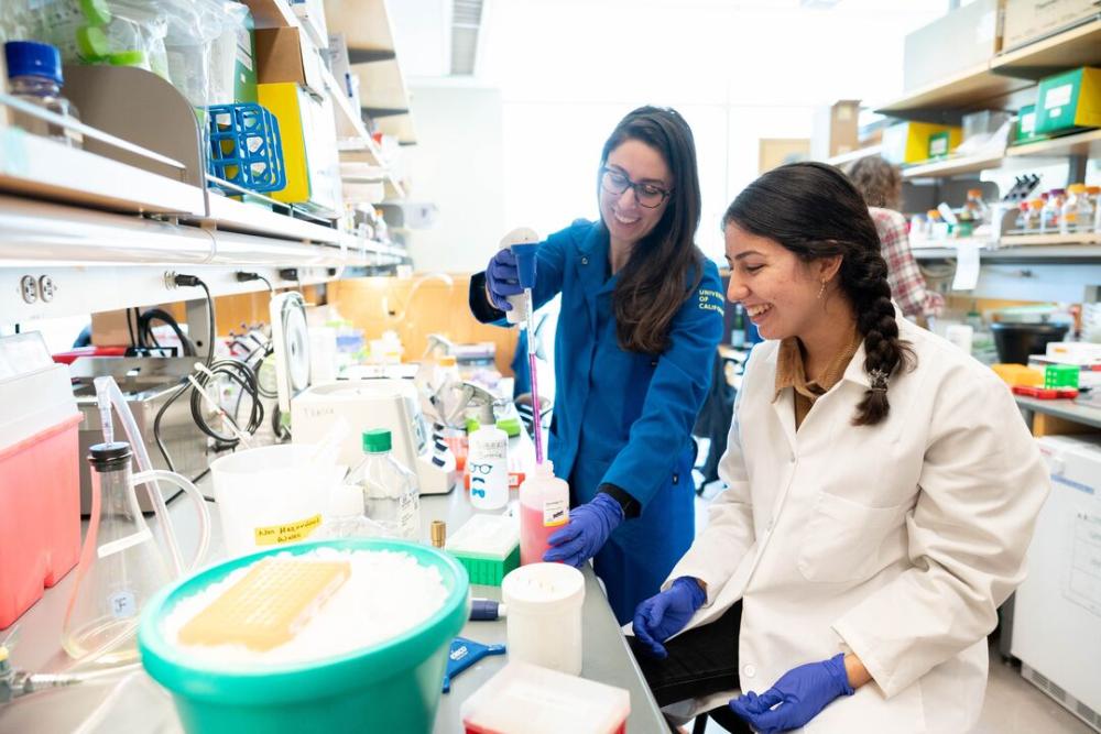 cancer research trainees in the lab