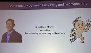 Meng Zhang slide for Felix Feng 