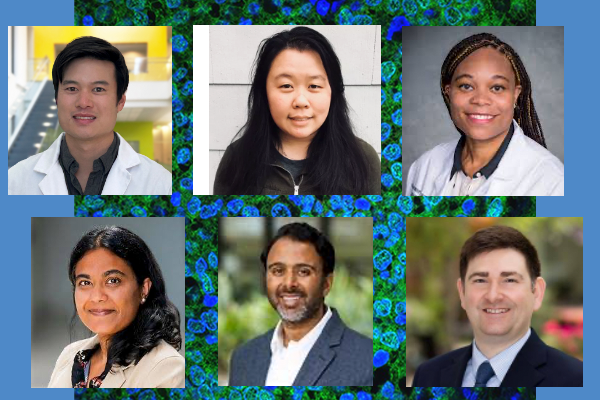 Six Research Projects Funded Through UCSF Cancer Health Outcomes SPOR
