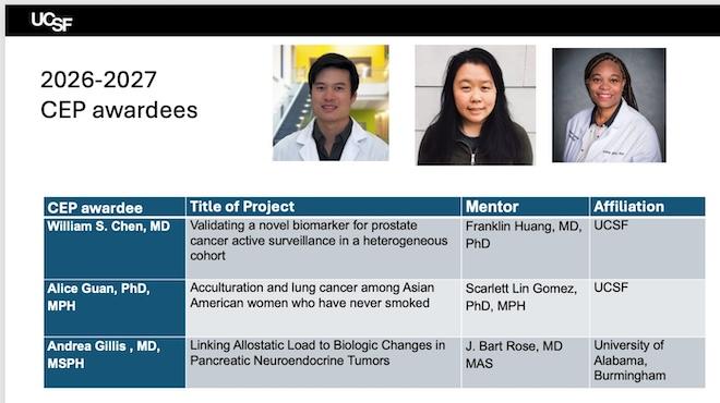 Cancer Health Outcomes DRP Awardees, Chen, Guan, Gillis