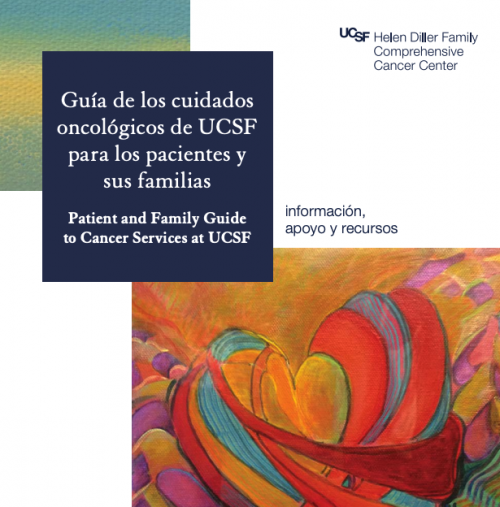 Guidebook (Espanol)