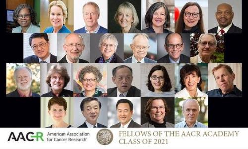 AACR 21 Fellows
