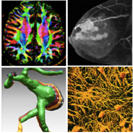 human imaging core services