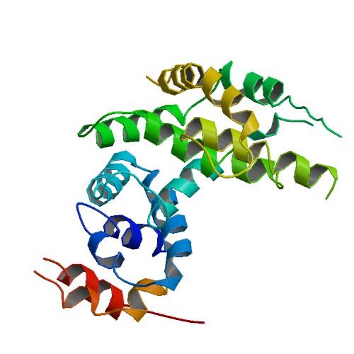 NF1