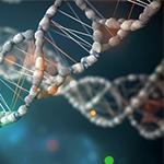 DNA helix