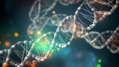 DNA helix