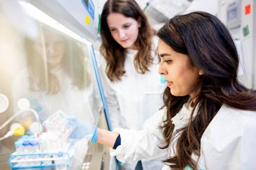 Faranak Fattahi Lab at UCSF