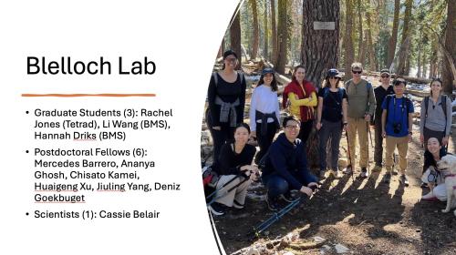 Robert H. Blelloch MD, PhD Lab