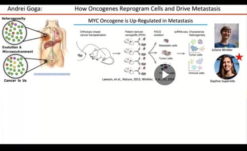 Andrei Goga Cancer Research Showcase 2025