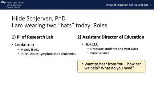 Hilde Schjerven, PhD