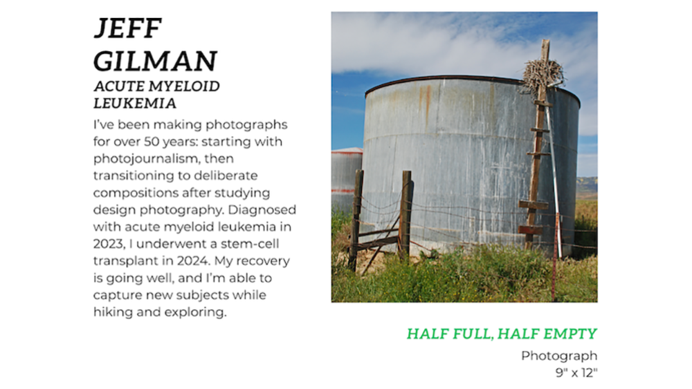 Jeff Gilman - Art for Recovery SFMOMA