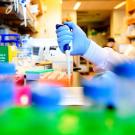 A researcher wearing blue gloves uses a pipette to transfer liquid into a laboratory sample plate in a UCSF research lab.