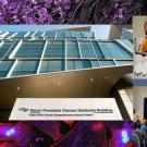 Year in Review: 2025