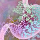 An illustration showing healthy bacteria in the gut microbiome.