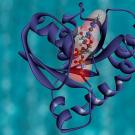 RAS is a family of related proteins that is expressed in all animals. KRAS is one of three RAS genes found in humans. RAS genes are mutated in approximately one-third of all human cancers. Image courtesy the NCI.