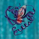 KRAS Protein Structure.  Image courtesy the National Cancer Institute.